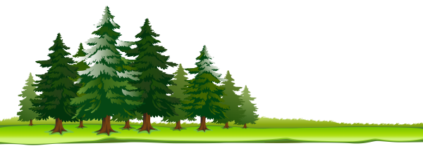 Лес на белом фоне