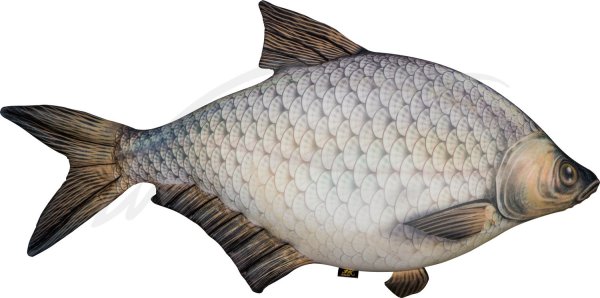 Лещ без фона