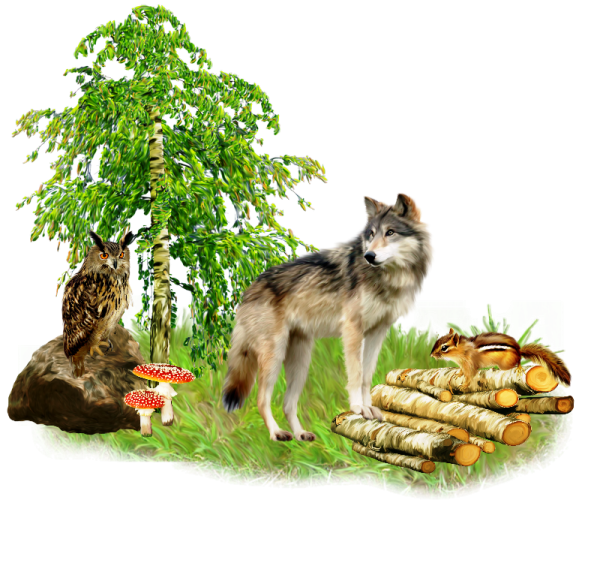 Обитатели леса на белом фоне