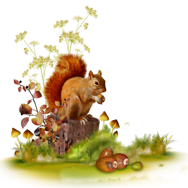 Лесные зверюшки на прозрачном фоне