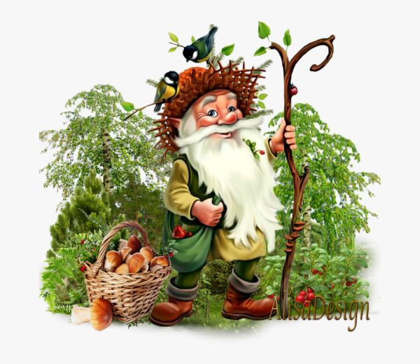 Боровик Лесовик сказочный персонаж