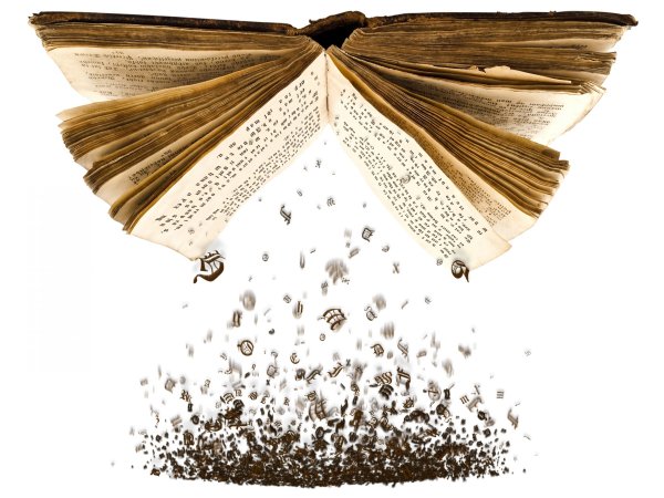 Книги летят