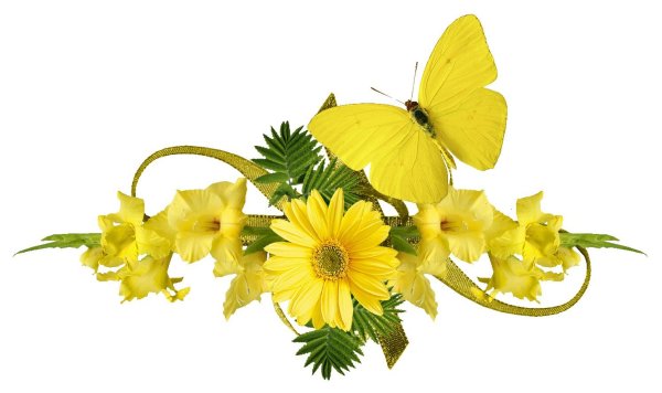 Желтые цветы на прозрачном фоне