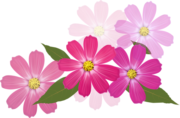 Цветочки без фона