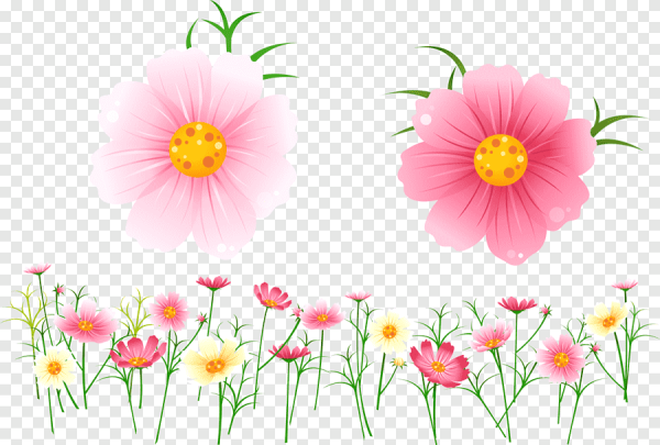 Летние цветы вектор