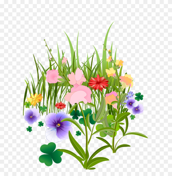 Полевые цветы для детей