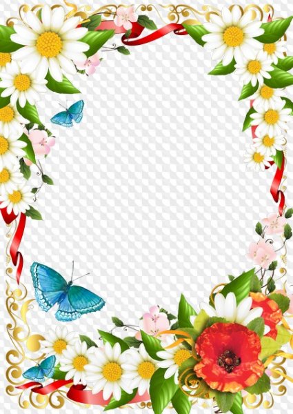 Рамка летние цветы