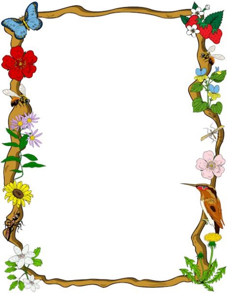 Рамка насекомые