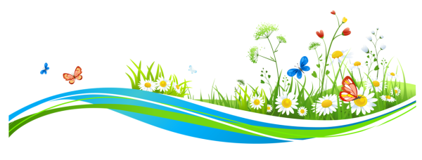 Лето без фона