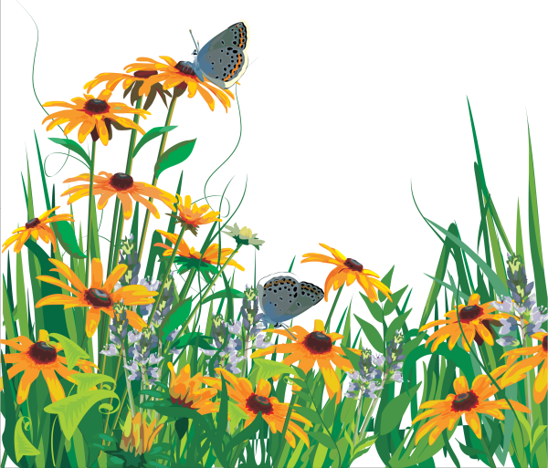 Лето на прозрачном фоне