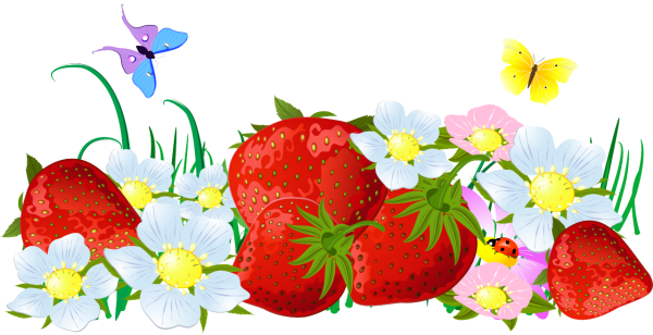 Леп тор на прозрачном фоне