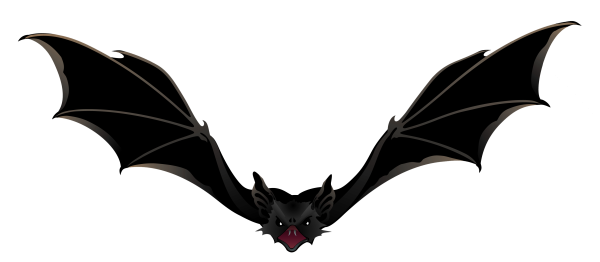 Летучая мышь на прозрачном фоне