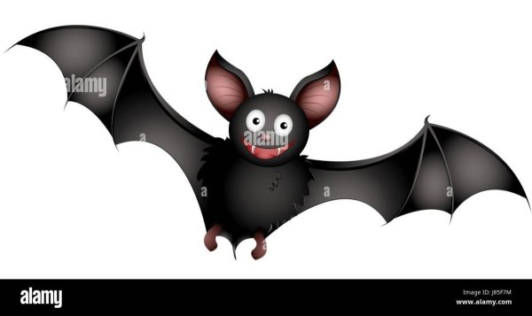 Летучие мыши животные мультяшные