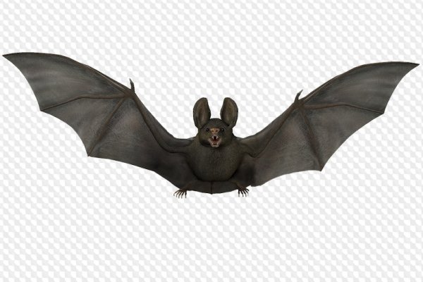 Летучая мышь спрайт