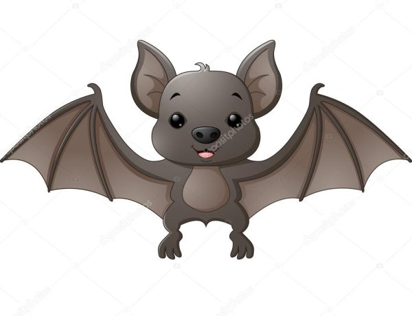 Летающая мышь из мультика