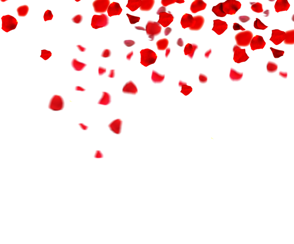 Лепестки роз