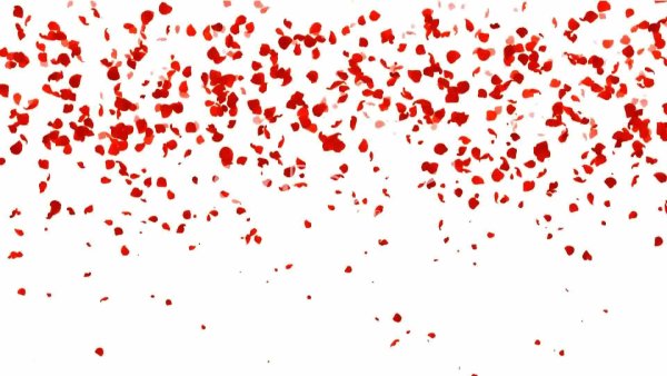 Падающие сердечки без фона