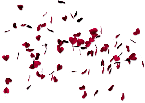 Падающие лепестки