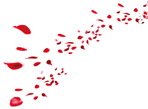 Улетающие лепестки