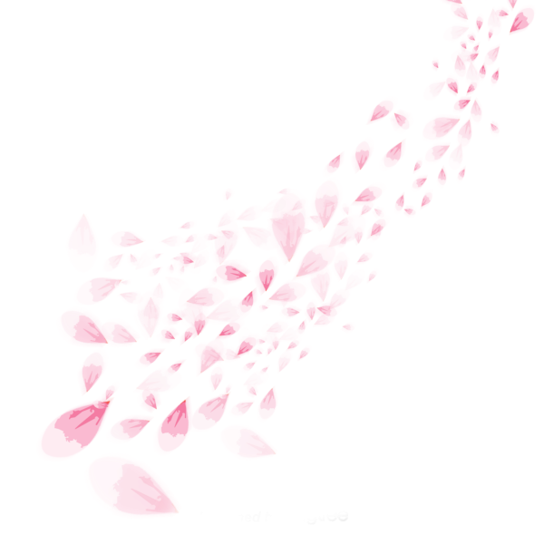 Лепесток Сакуры