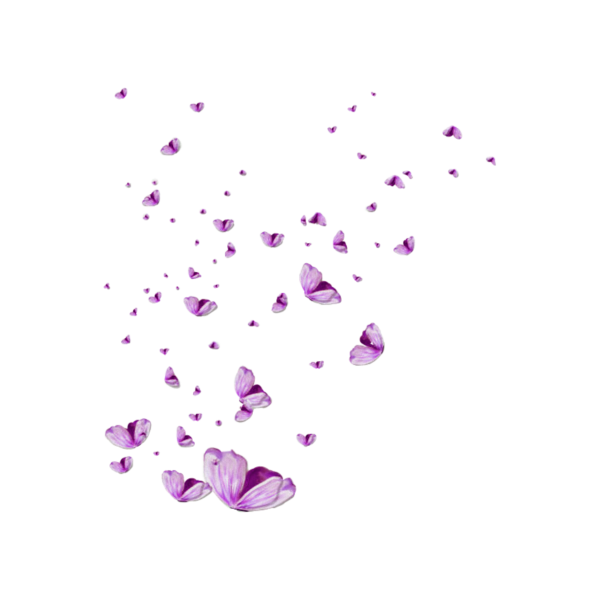 Россыпь цветов на прозрачном фоне
