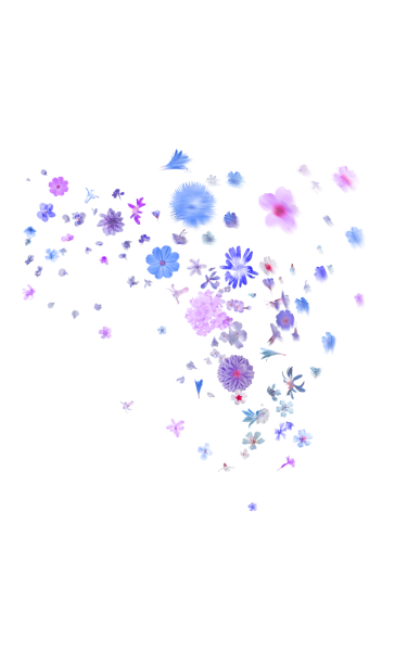 Россыпь цветов на прозрачном фоне