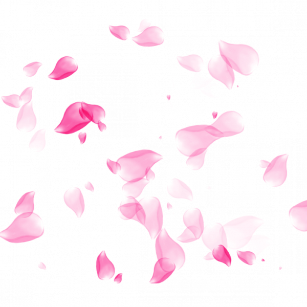 Лепесток Сакуры