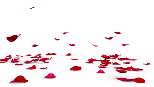 Красный лепесток