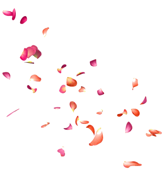 Лепестки в воздухе