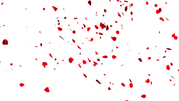 Лепестки роз