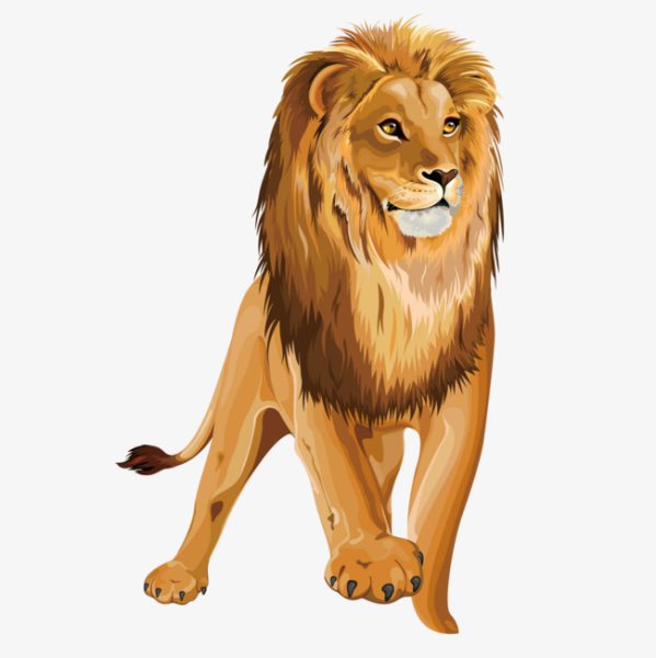 Лев для детей