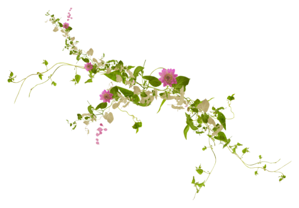 Веточка цветов