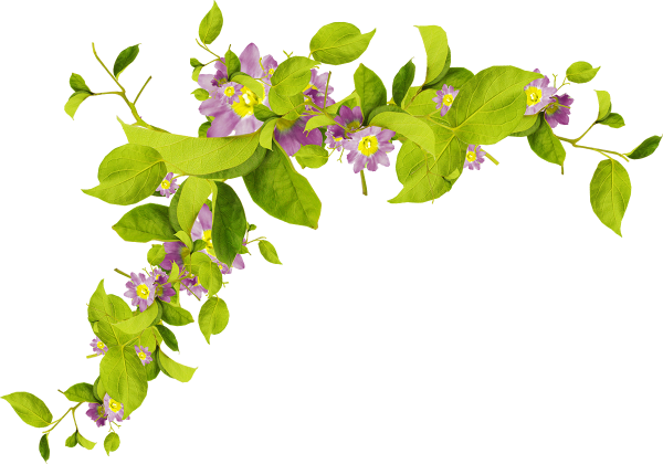 Цветочная ветка