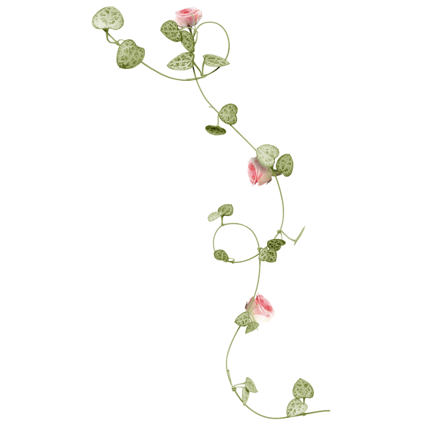 Вьющаяся ветка Цветочная