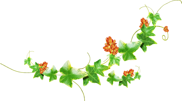 Вьющиеся цветы для вставки