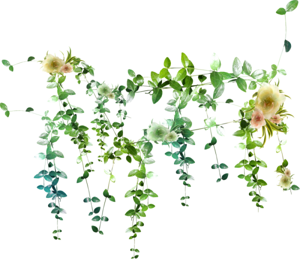 Висячие цветы на прозрачном фоне