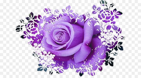 Фиолетовые цветы на прозрачном фоне