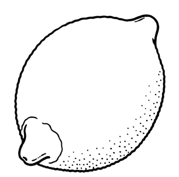 Лимон раскраска для детей