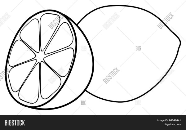 Лимон черно белый