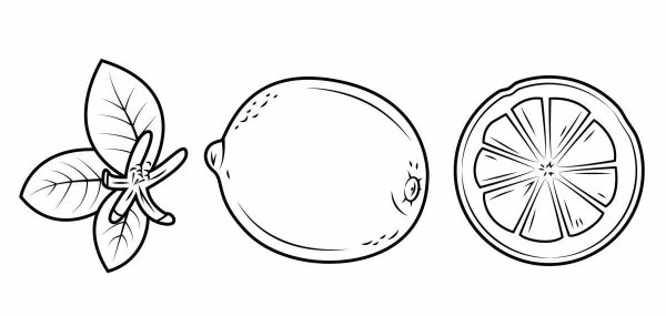 Лимон раскраска