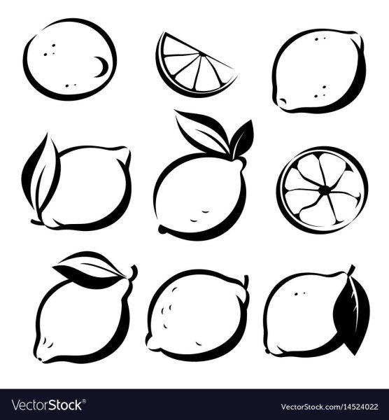 Лимон вектор черно белый