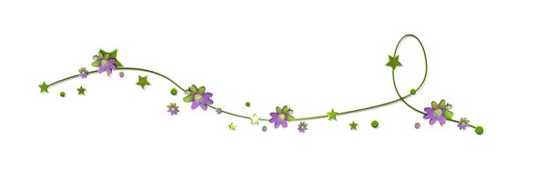 Цветочная линия на прозрачном фоне