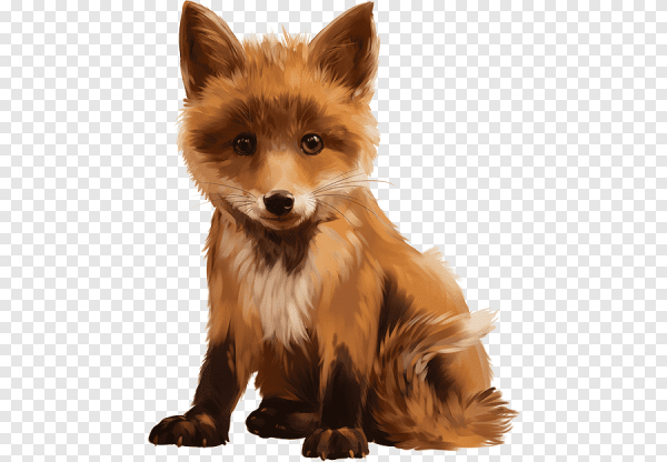 Лисенок на прозрачном фоне