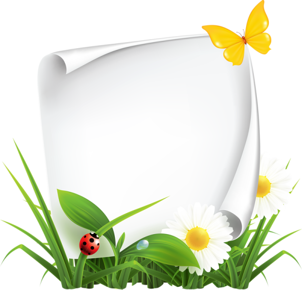 Летняя рамка для текста на прозрачном фоне