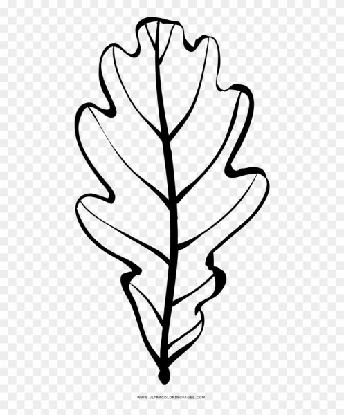 Дубовый лист трафарет