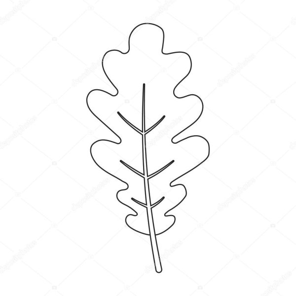 Лист дуба контур