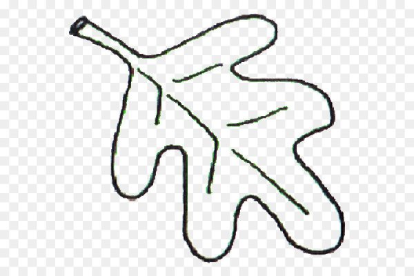 Лист дуба контур