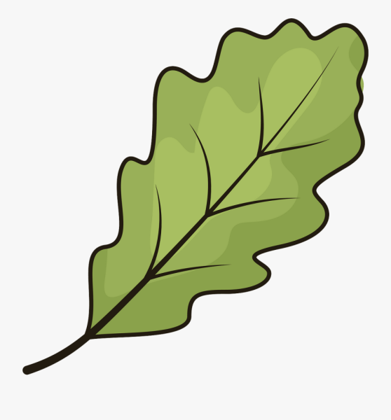 Дубовый лист мультяшный