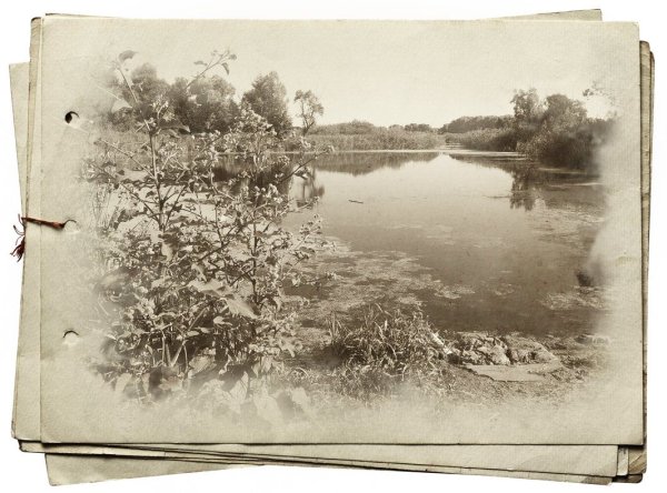 Старинный фотоальбом
