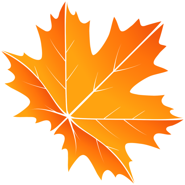 Кленовый лист вектор